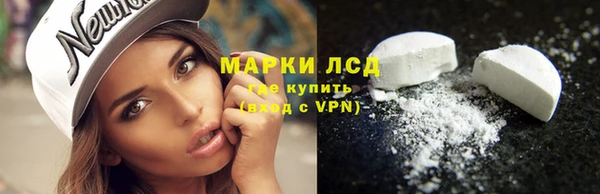 мяу мяу мука Горно-Алтайск