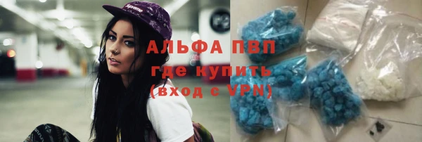 мяу мяу мука Горно-Алтайск