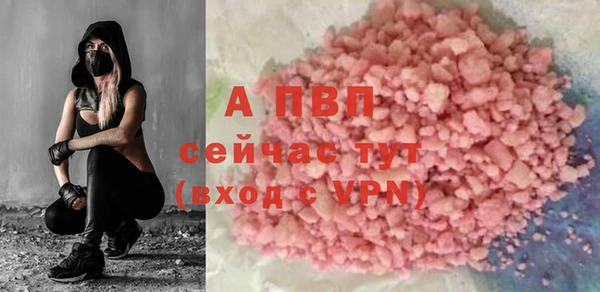 мяу мяу мука Горно-Алтайск