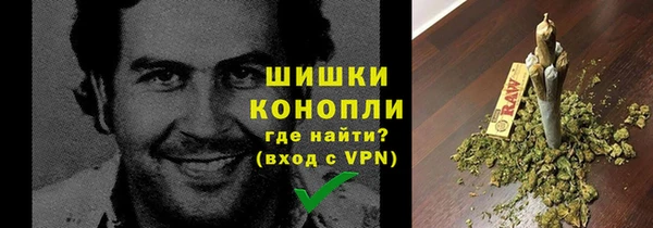 мяу мяу мука Горно-Алтайск