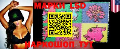 mdpv Гусев