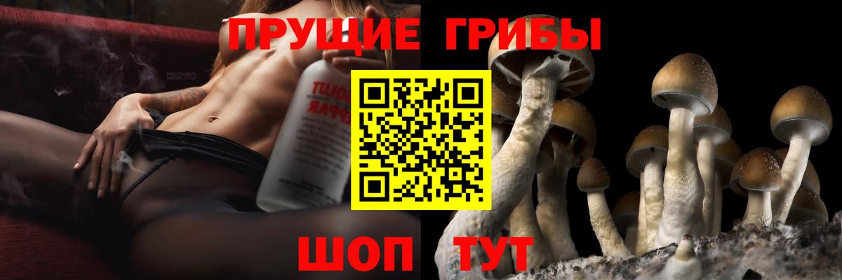 Мценск  Псилоцибиновые грибы мицелий  Вход с VPN 